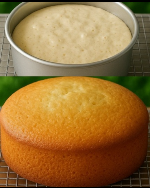 Soft and Fluffy Vanilla Sponge Cake